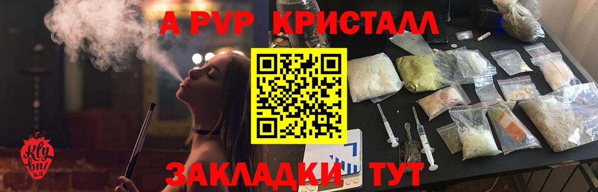 A-PVP СК Шадринск