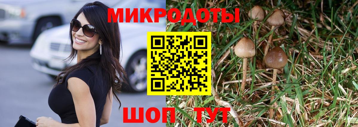 Псилоцибиновые грибы мицелий Шадринск