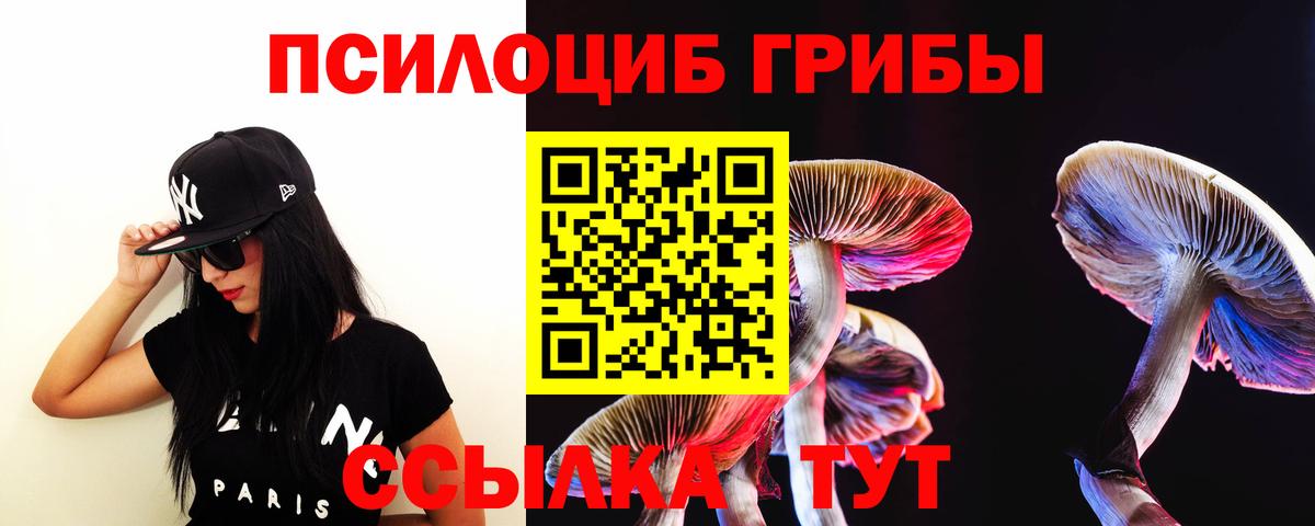 Шадринск  Псилоцибиновые грибы MAGIC MUSHROOMS  Псилоцибиновые грибы Cubensis  Вход с VPN 